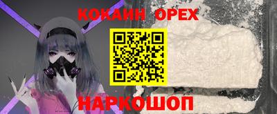 гашик Кохма