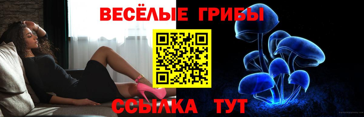 Псилоцибиновые грибы мицелий Барнаул